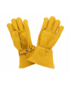 Gloves CE GLOVES DOUBLÉS GOLD CE